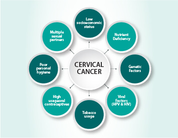 Cervical Cancer | About Womens Cancer